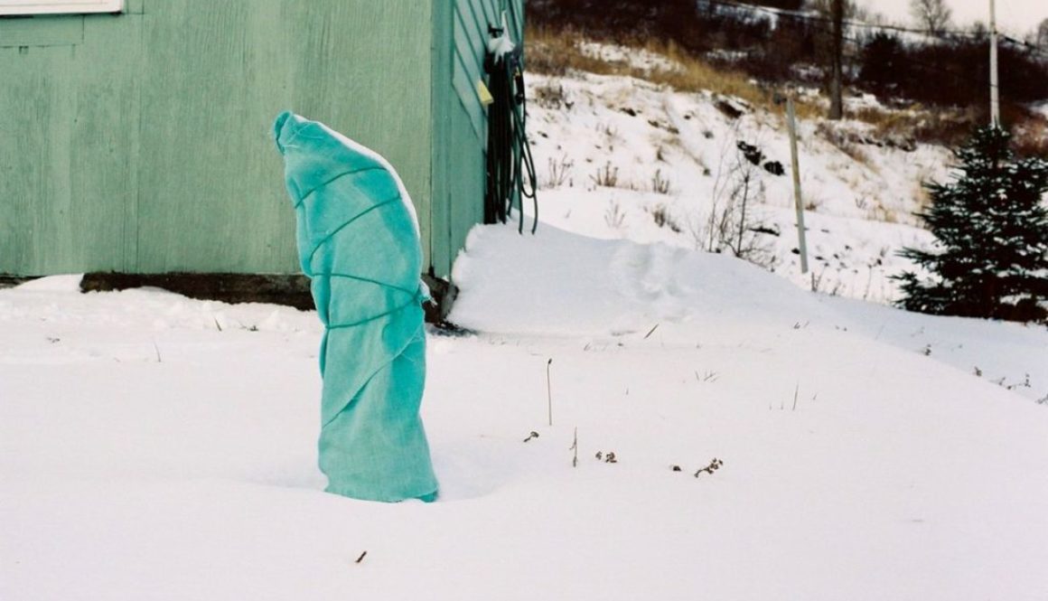 Wintercollection: Get Wrapped!